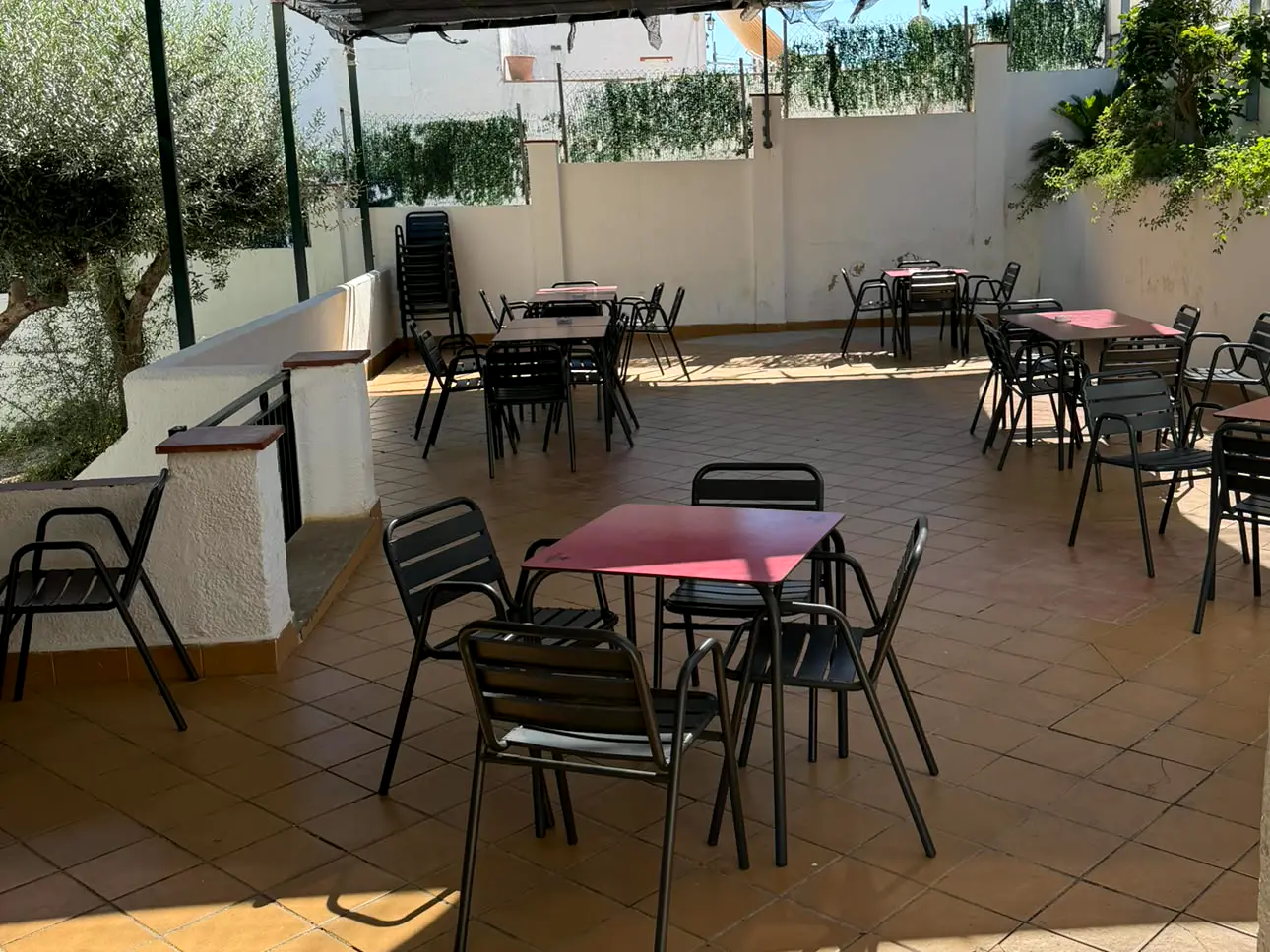 La terraza de El Rocío, cubierta, con sombra y un olivo